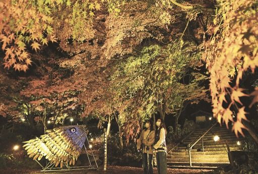 静岡ジン Auf Twitter 修善寺の夜 紅葉彩る １２月３日までライトアップ 静岡新聞アットエス 伊豆市の修善寺虹の郷で 紅葉 シーズンに合わせた夜間開園 もみじライトアップ が始まった 色づいた木々が暗闇の中に浮かび上がる幻想的な光景が広がり 来場者を