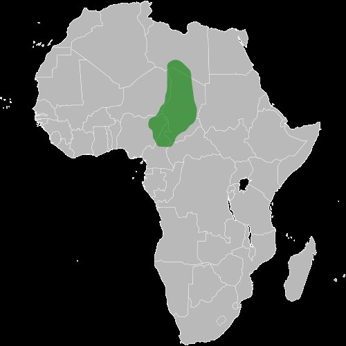 The Songhai Empire of 16th century in West Africa had a government position called ‘Minister for Etiquette and Protocol.’ And One of the government positions in the mediaeval Kanem-Borno kingdom was Astronomer Royal meaning that the central African civilizations had Astronomers.