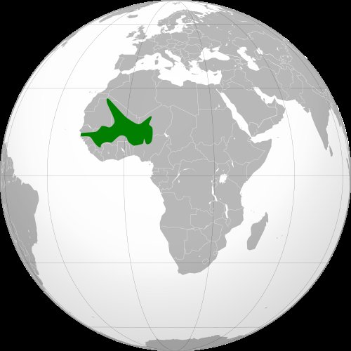 The Songhai Empire of 16th century in West Africa had a government position called ‘Minister for Etiquette and Protocol.’ And One of the government positions in the mediaeval Kanem-Borno kingdom was Astronomer Royal meaning that the central African civilizations had Astronomers.