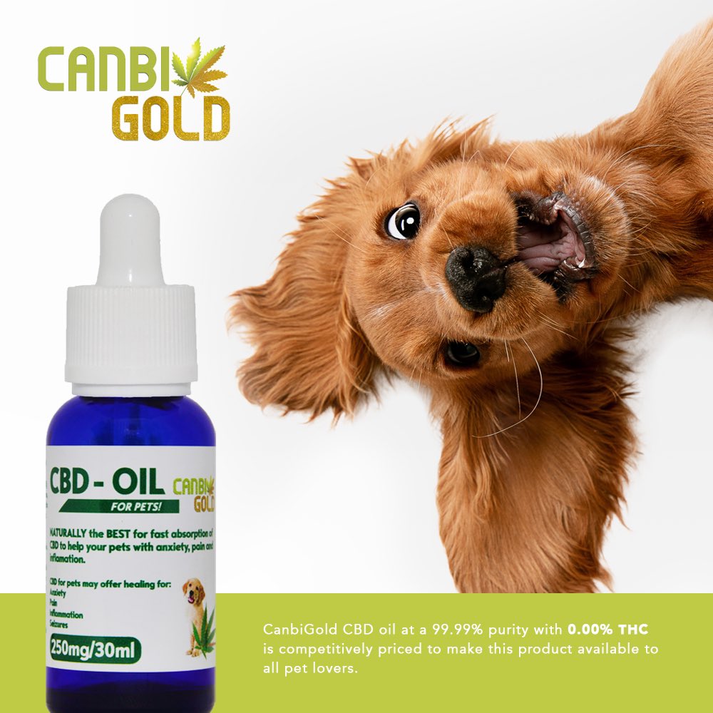 canbigold's tweet photo. CBD For PETS 🌱

CanbiGold CBD Oil is at 99.99% purity and contains 0.00% THC ✅

It is competitively priced to make this product available to all pet lovers ℹ️

For more contact info@canbigold.com

#medicalcannabis #cannabis #cbd #medicalcannabisfact #cbd #vision #cbdproducts https://t.co/zRQs9gDaG6