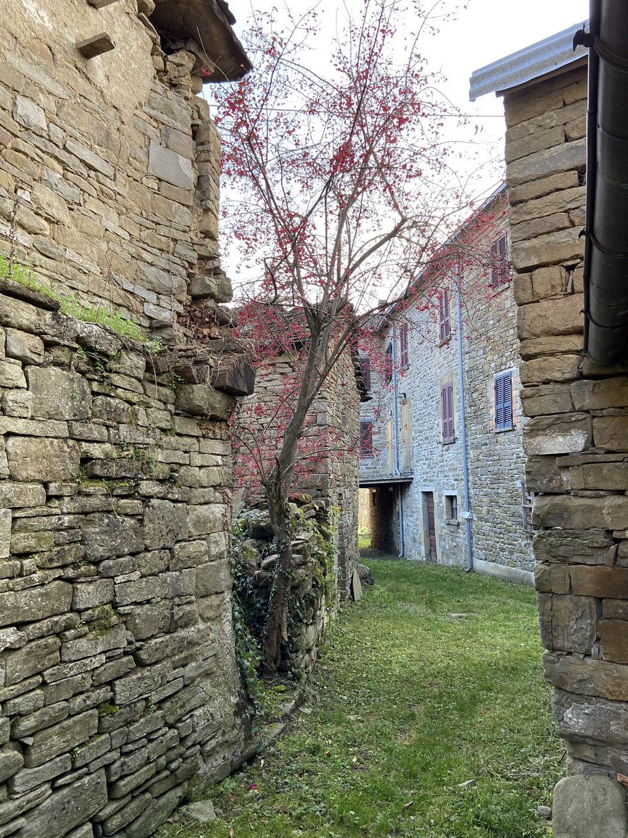 marco_bale's tweet photo. Sabato alle 21 su 12 tv #parma torna #appennino itinerari e #sentieri dedicata al Barigazzo e i borghi della #valceno. @CAI150 #trekking #mountain tutte le puntate disponibili qui: https://t.co/kvjVQ9Z88C https://t.co/lSvIuNrhum