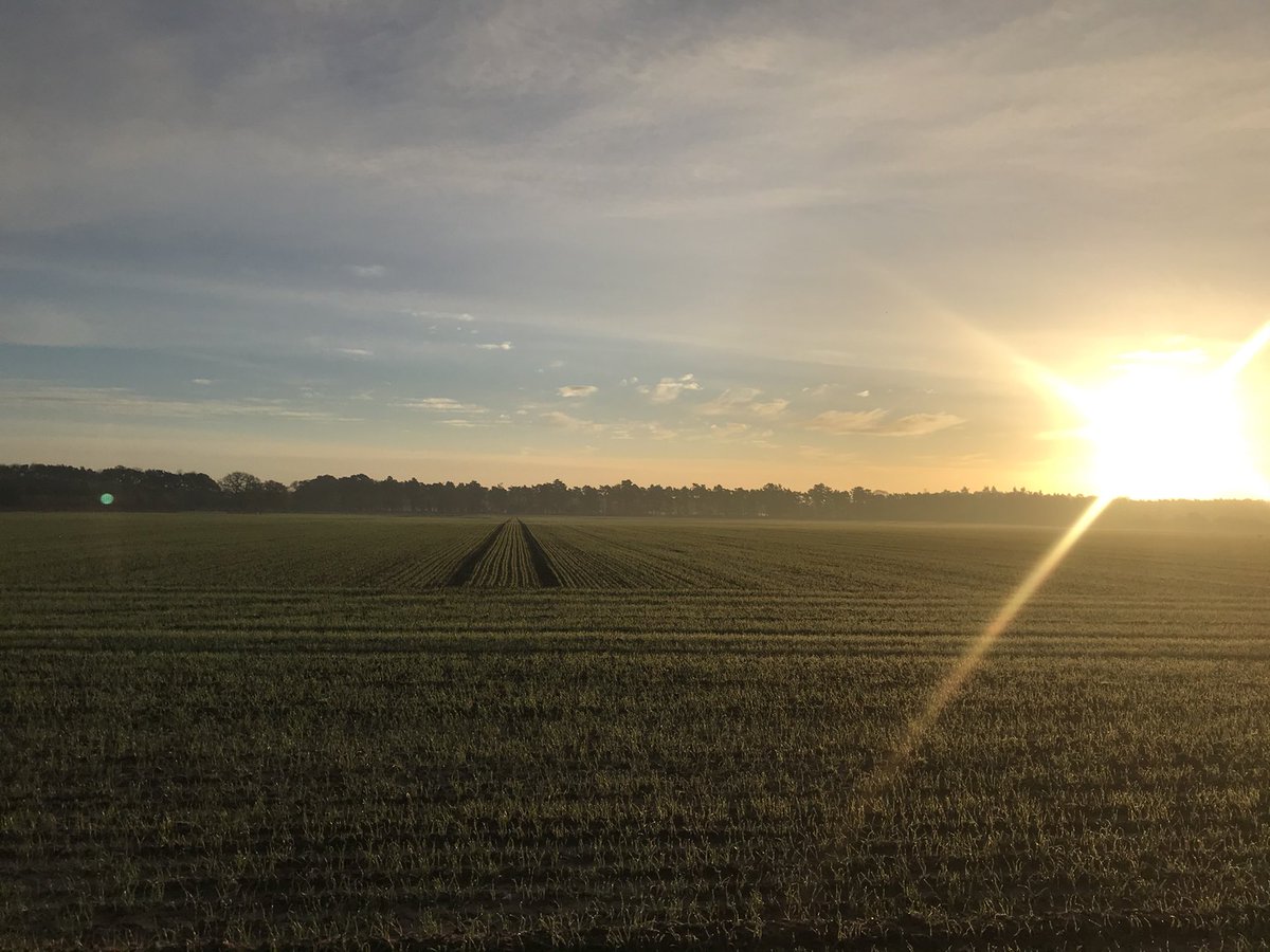 Cracking start to feet up Friday 👌🚜