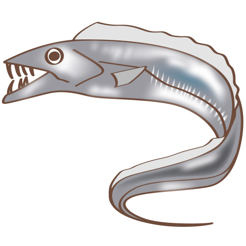O Xrhsths イラスト星人 Sto Twitter 調査報告557 魚 タチウオ T Co 6wyb5igo2k 太刀魚 イラスト フリー素材 こども園 無料 子供 こども 生物 生き物 魚類 魚 タチウオ ドラゴン O Xrhsths イラスト星人 Sto Twitter 調査報告557 魚 タチウオ T Co 6wyb5igo2k 太刀魚 イラスト フリー素材 こども園 無料 子供 こども 生物 生き物 魚類 魚 タチウオ ドラゴン