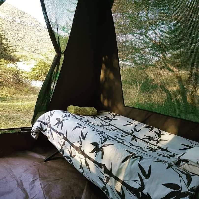 BushbossC's tweet photo. Let us take you to a  secret location for a tranquil glamping experience on the foot of the Tugela river in KZN. Just bring yourself and we take care of the rest.

Date: 11-13 December
Tugela River KZN
R3050 single
R2850 couples
R2650 groups of 4 or more https://t.co/6myRC1TJQB