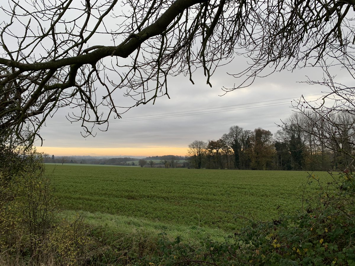 AdamMeakins's tweet photo. Beautiful scenes on this mornings walk! π #RespectTheSteps https://t.co/aV8HFbuRht