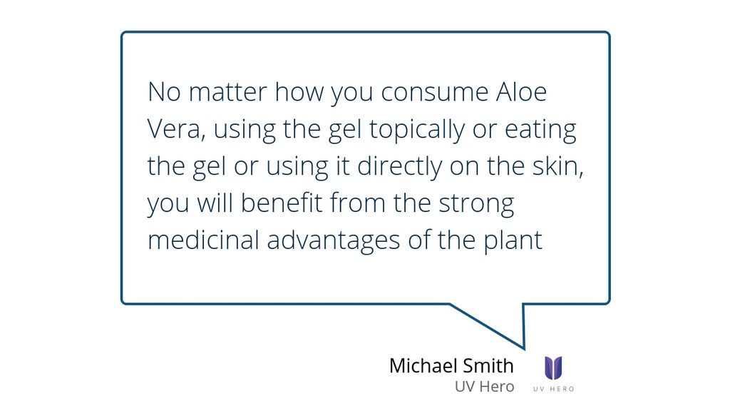 A year ago we published "How to Cook Aloe Vera &amp; Why You Should Eat It" lttr.ai/ZbLO

 #aloevera #cooking