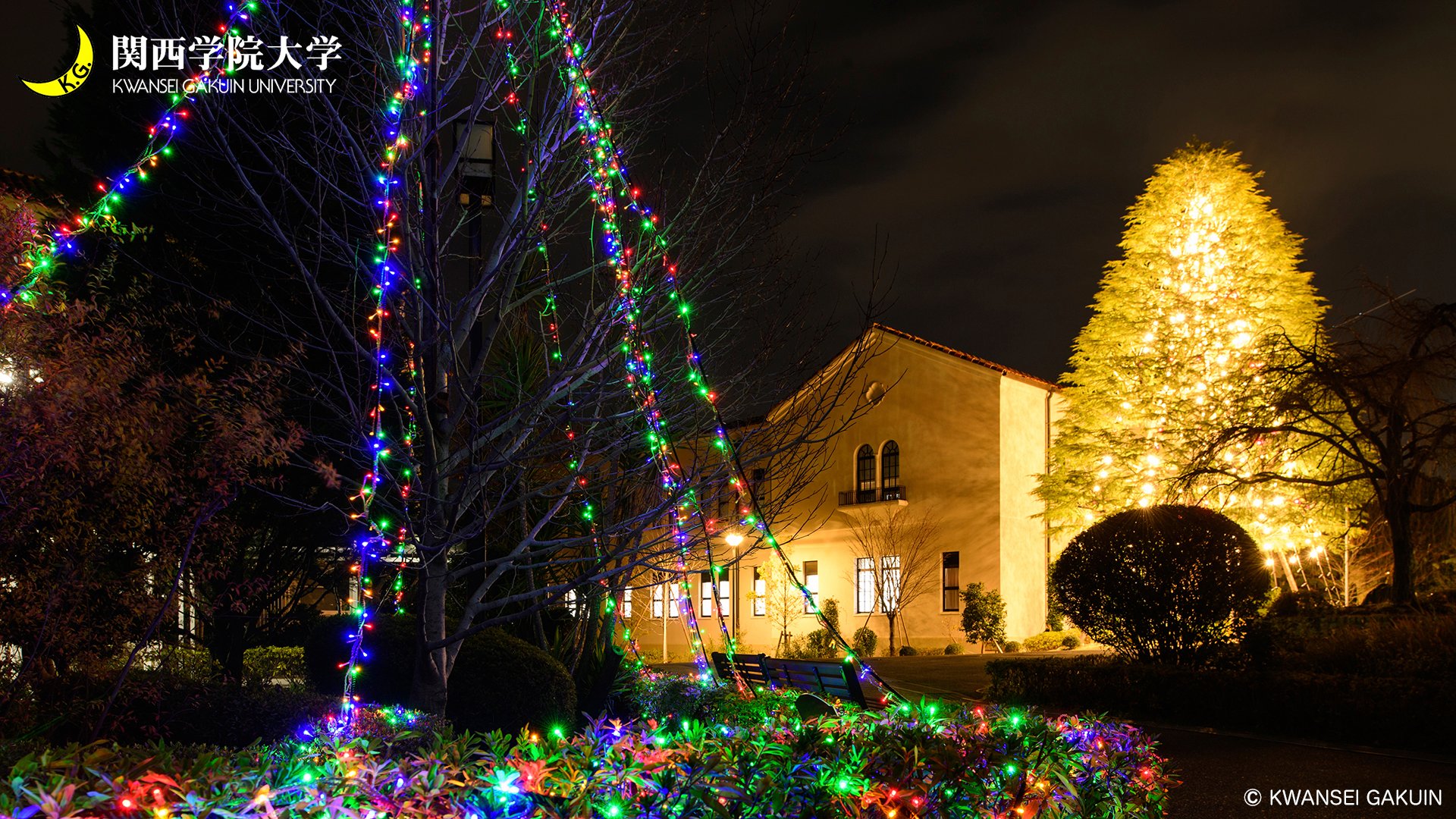 関西学院大学 クリスマスツリーのバーチャル背景用の画像を作成しました オンラインでの授業などにぜひご利用ください ダウンロードはこちらから T Co 3onfabcx47 T Co 2icz2ruqpn Twitter