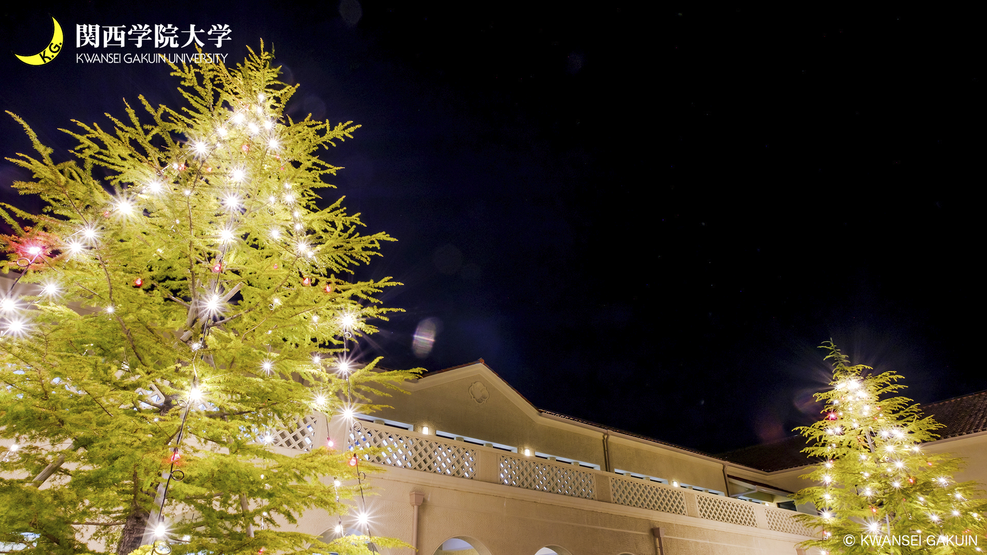 関西学院大学 クリスマスツリーのバーチャル背景用の画像を作成しました オンラインでの授業などにぜひご利用ください ダウンロードはこちらから T Co 3onfabcx47 T Co 2icz2ruqpn Twitter