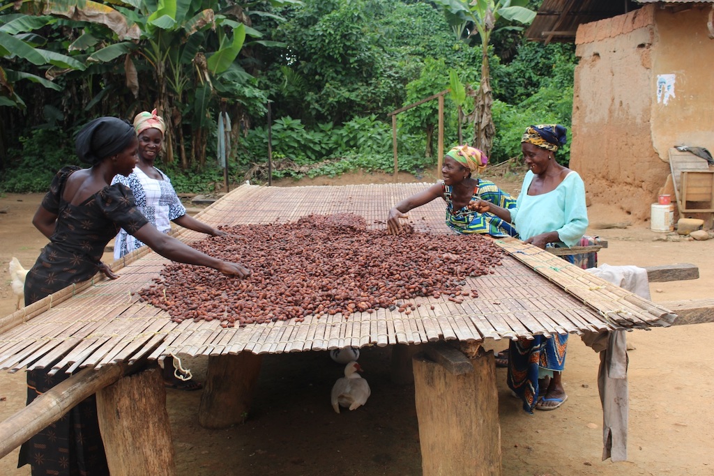 Mondelēz releases major report revealing $10 billion annual income gap for cocoa farmers in Ghana &amp; Ivory Coast, noting cross sector action is required <a href="/MDLZ/">Mondelēz Intl</a> <a href="/CathyPieters/">Cathy Pieters</a> #cocoa #sustainability #livingincome #confectioneryproduction #Ghana #Ivorycoast 
...bit.ly/35NokhD