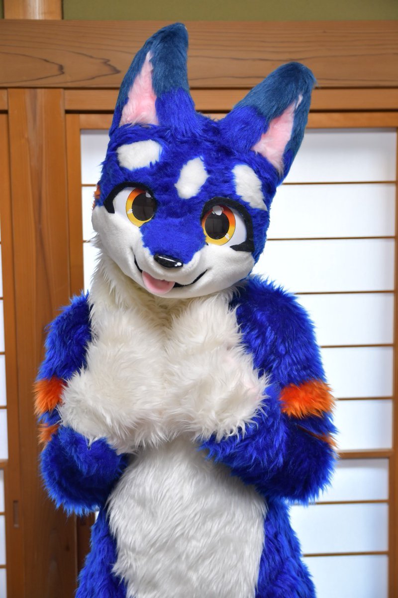 raimu9513's tweet image. 沢山の方がお手伝いや助言をして下さったおかげでここまで来れました!
今日ウチに家族が増えました!
一緒に生活する事になった妖狐のラピです!
シャイな甘えん坊ですが好奇心旺盛な男の子です!
こんな情勢ではありますが、見かけた際は仲良くしてあげて下さい!!
撮影者︰あふけさん @siroka885