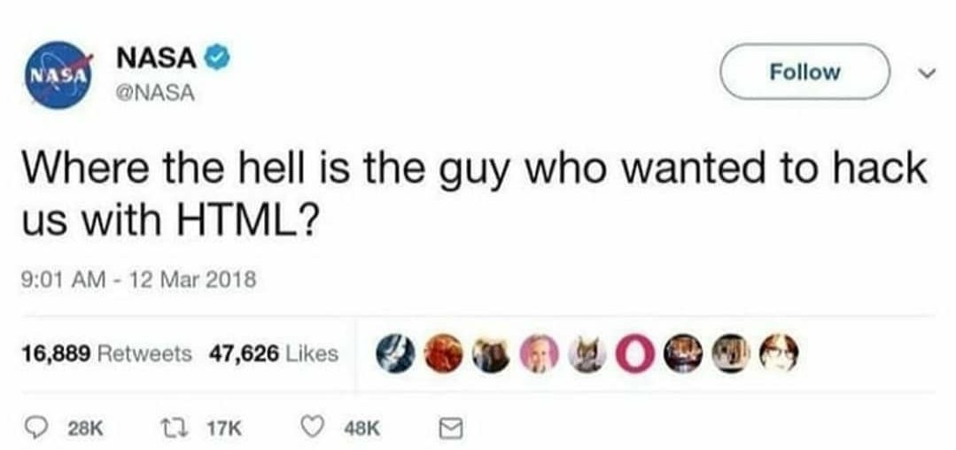 Programmer Humor tweet media