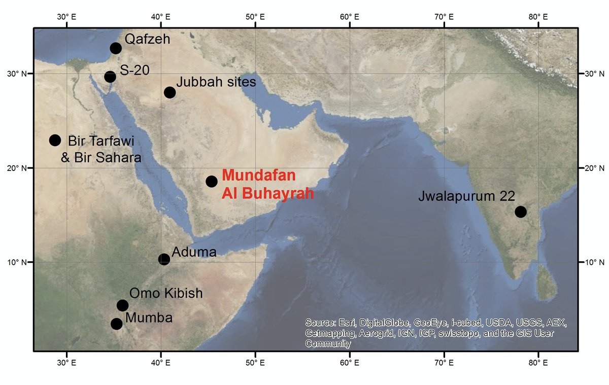This  #FieldworkFriday. A thread on the site of Mundafan al Buhayrah, the first dated Pleistocene archaeological site from the Empty Quarter of Arabia, that we published five years ago. About 85 thousand years ago humans were making stone tools on the edge of a lake.