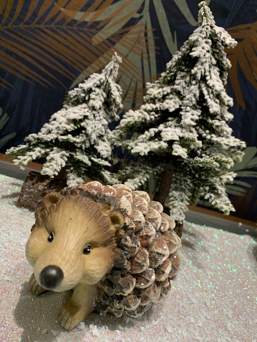 HI Dumfries tweet media