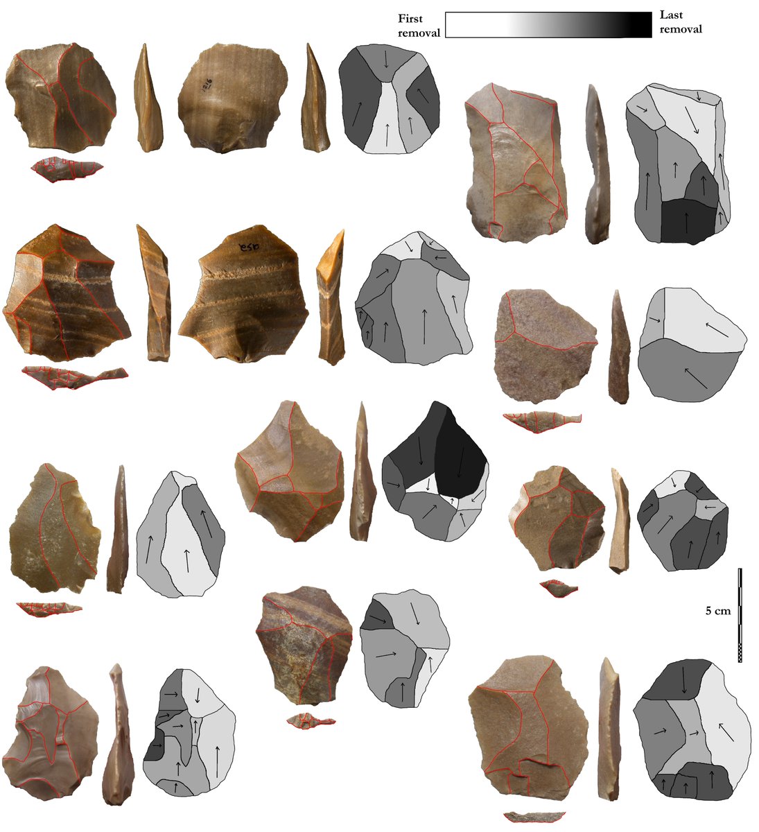 Stone tools from this site make a valuable comparative sample. They are very similar to contemporary tools made by Homo sapiens in Africa and the Levant, showing that early dispersals were extending further east than traditionally thought.