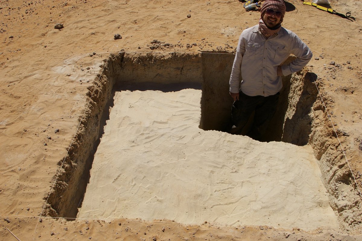 And lots of buried stone tools were recovered (plus a few pieces of ostrich eggshell)