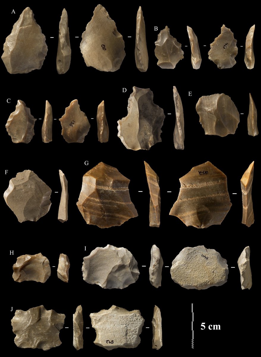 Stone tools from this site make a valuable comparative sample. They are very similar to contemporary tools made by Homo sapiens in Africa and the Levant, showing that early dispersals were extending further east than traditionally thought.