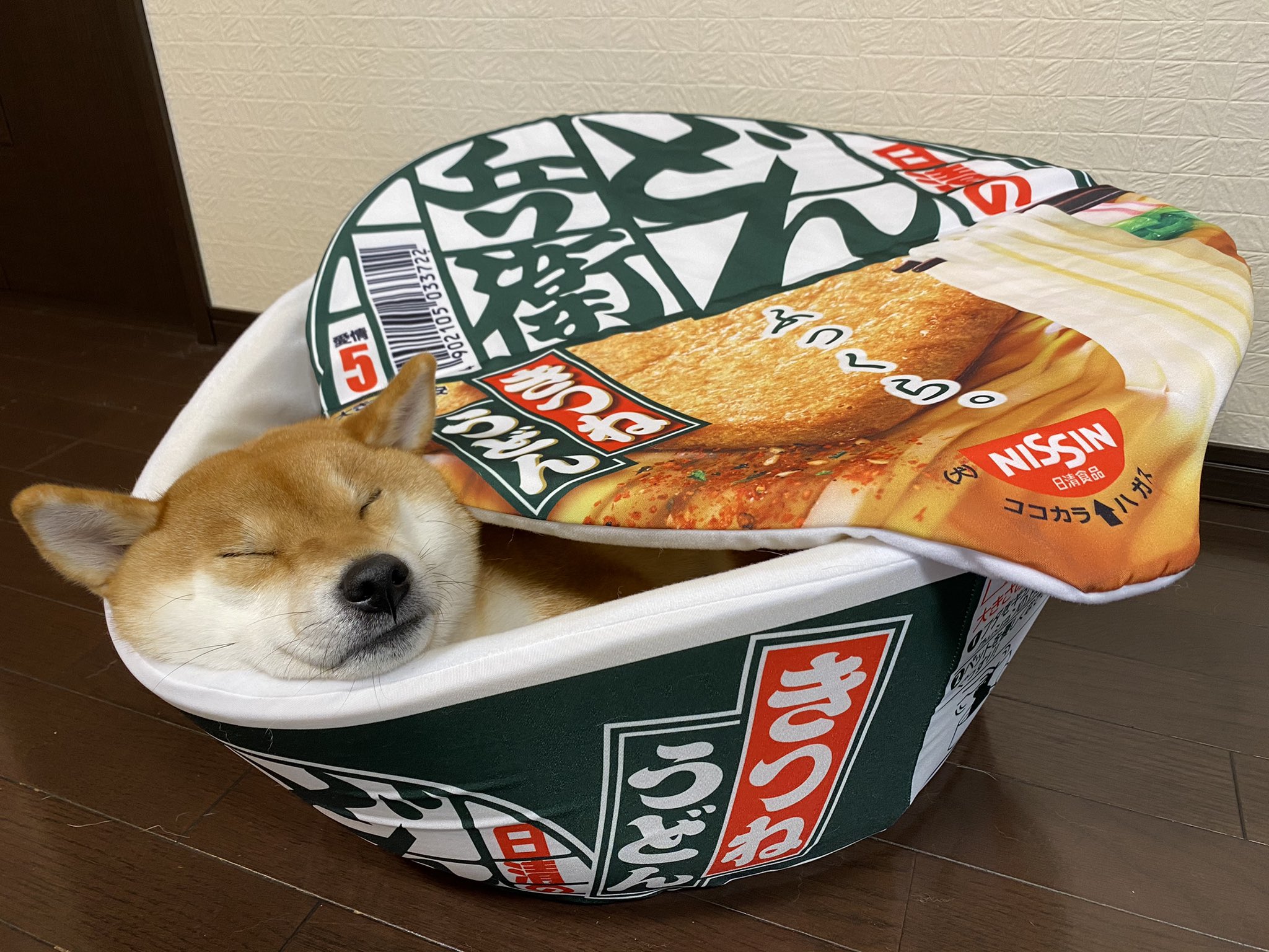 柴犬ゆきちゃん on X: 