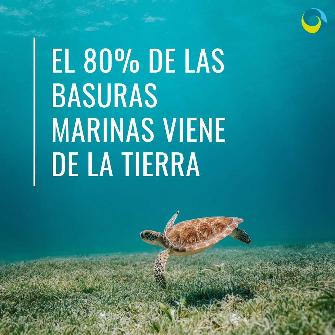 Abre la foto y verás el motivo por el que debes #reciclar y ser responsable con el #medioambiente. No te olvides de ellas y deposita cada #residuo en su lugar. #basurasmarinas
