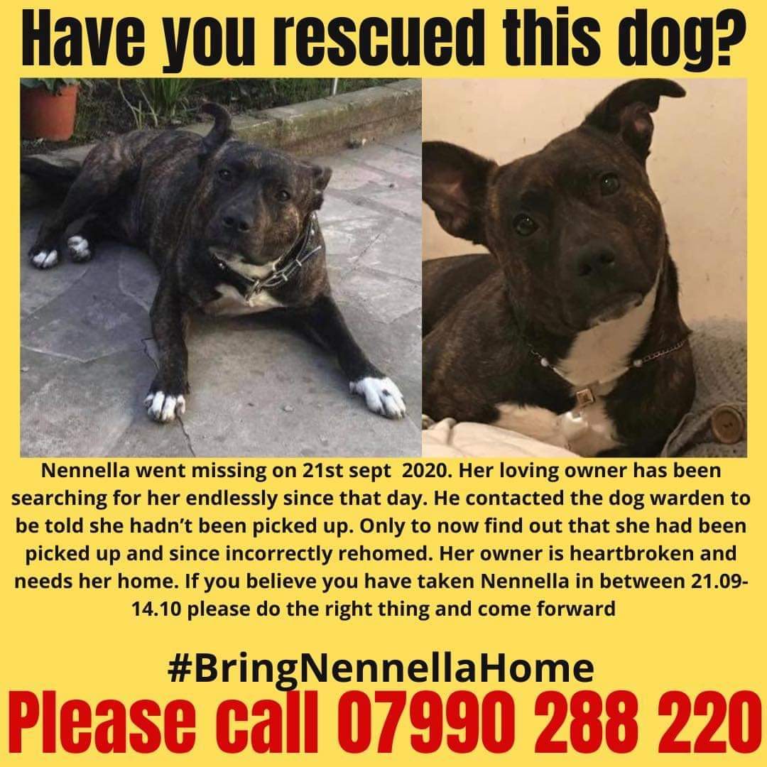 🐕⚡#BRINGNENNELLAHOME 
Twitterstorm for Nennella &amp; Walter tomorrow Saturday 21 Nov 8-9pm
We are asking everyone to please focus on Walter &amp; Nennella and telling their story and building their case in the public eye.
Please do not directly tag the councils involved.
#teamnennella