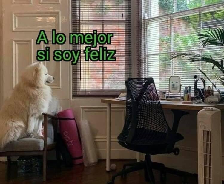 pizzaparacenar's tweet photo. https://t.co/YufbMvJORM