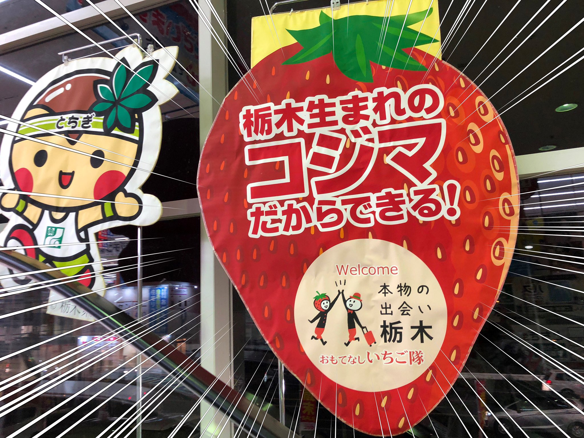 تويتر 一葵さやか على تويتر コジマ電気 栃木県発祥 ヤマダ電機 群馬県発祥 ケーズデンキ 茨城県発祥 T Co 0ptghw1ifr