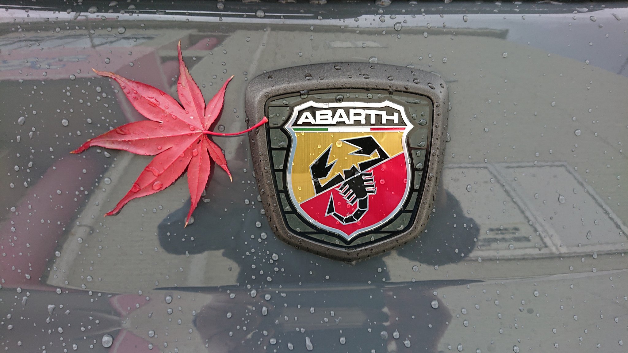 Abarth Robe 595 Competi Pp2 Twitter