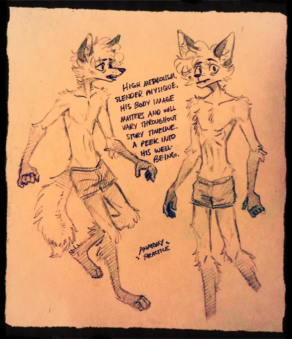 Zennie's anatomy practice (probably a short thread) 