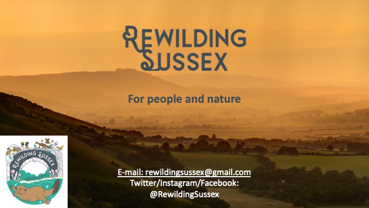 1/ We think more #rewilding in Sussex will benefit people and nature!

Here’s a preview of my #MakingNaturalHistory talk today 16:00. You can find out more about the event here: sussex.ac.uk/broadcast/read…