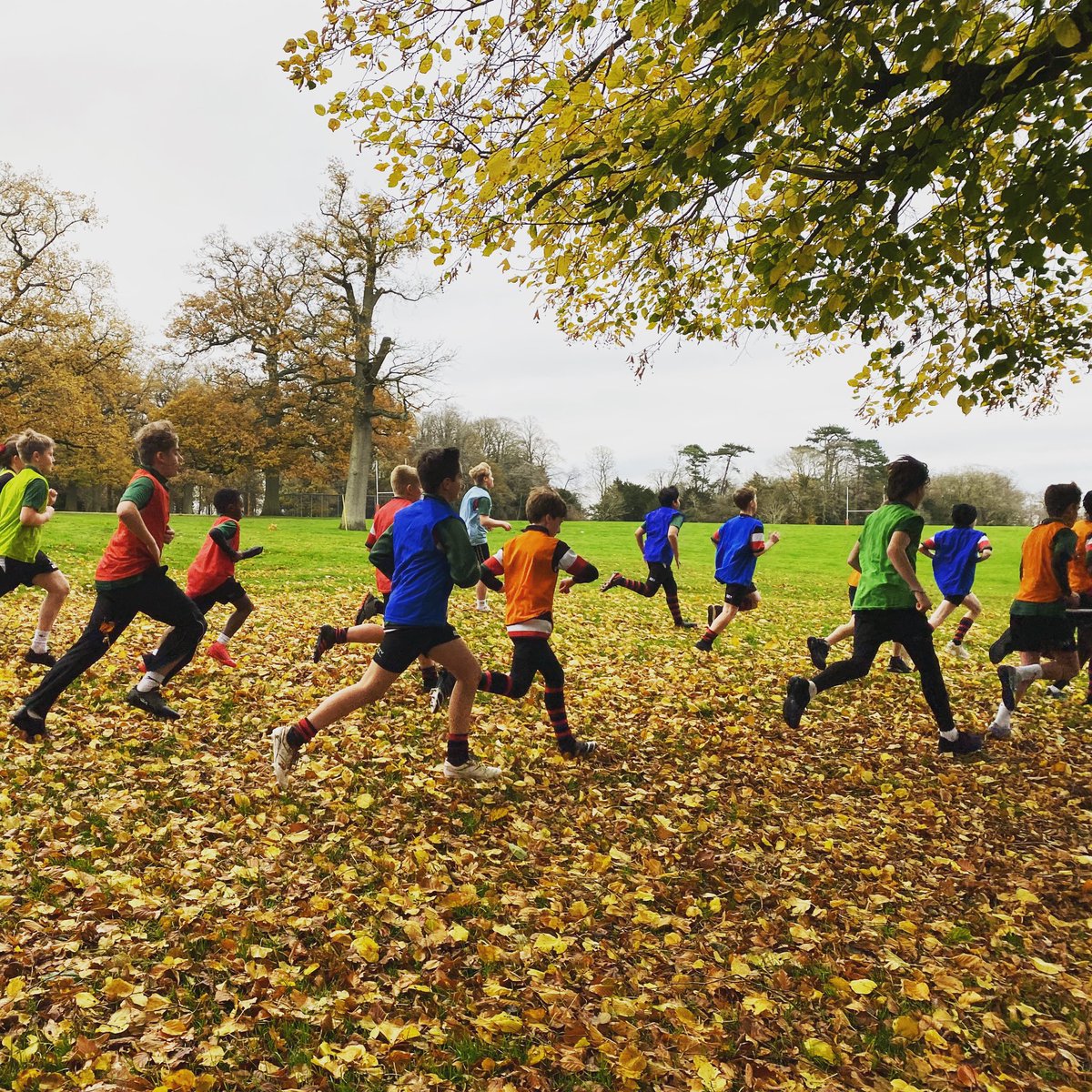 It was great to see all of our Year 7, 8 &amp; 9 students compete in the House X-Country this week. The results are in:

Yr7
1st Thompson
2nd Hillcrest
3rd Pilgrim
4th Stuart

Yr8
1st Stuart
2nd Hillcrest
3rd Thompson
4th Pilgrim

Yr9
1st Stuart
2nd Thompson
3rd Pilgrim &amp; Hillcrest