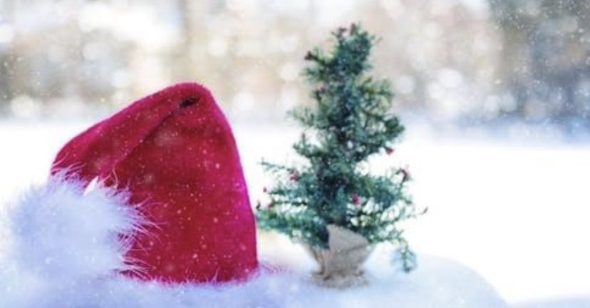 FESTIVE TREASURE HUNT 🎄
We are excited to host this event on Christmas Eve with @TreasureRove
Follow the clues around our grounds to solve a Christmas Riddle, then enjoy a delicious Festive Afternoon Tea!
Please visit our website for details:
https://t.co/TwJnYVWS4E https://t.co/aPqDLRdFIY