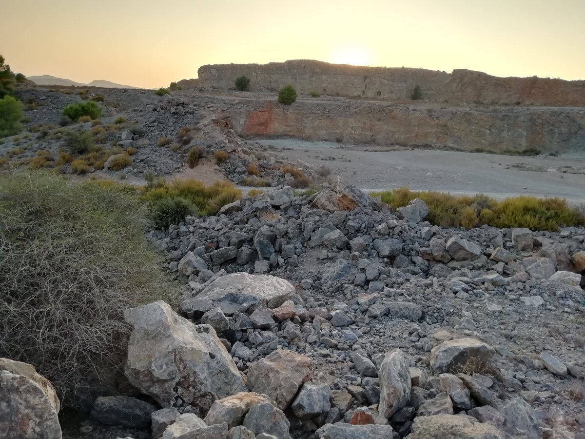 afarem_aridos's tweet photo. @afarem_aridos inicia con @ARBAmurcia este domingo 22 la reforestacion de la cantera abandonada de Los Asperos junto al Pantano de Santomera. Este domingo 22 de noviembre, para recuperación del bosque autóctono y el fomento de la mejora ambiental de las canteras https://t.co/sRkqg489Bs