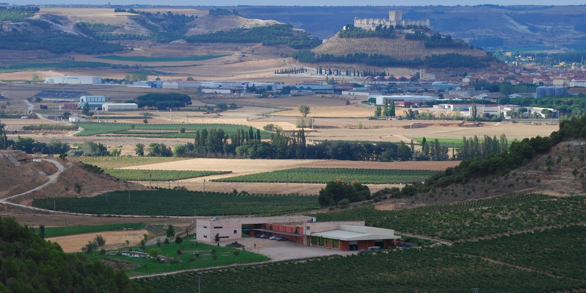 ¿𝗖𝗼𝗻𝗼𝗰𝗲𝘀 𝗲𝗹 𝗖𝗹𝘂𝗯 𝗱𝗲 𝗩𝗶𝗻𝗼𝘀 𝗖𝗼𝗺𝗲𝗻𝗴𝗲?, ¿quieres disfrutar de nuestros vinos en 𝐩𝐫𝐢𝐦𝐢𝐜𝐢𝐚?, ¿tener tu propia barrica? Inscríbete ya en nuestro club.
Si quieres conocer todas las ventajas, te lo contamos en nuestro blog bit.ly/clubcomengeblog