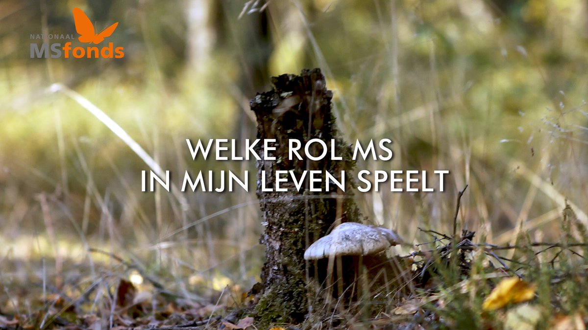 "Welke rol MS in mijn leven speelt."
youtu.be/jWm_f2S_RaQ
De collecte voor het Nationaal MS Fonds is dit jaar digitaal.
Wil je ook een gift doen? Scan dan de QR code aan het eind van deze film, of klik op deze link:
qr3.ideal.nl/f8e585b6-0561-…
Hartelijk dank.
#visualstorytelling