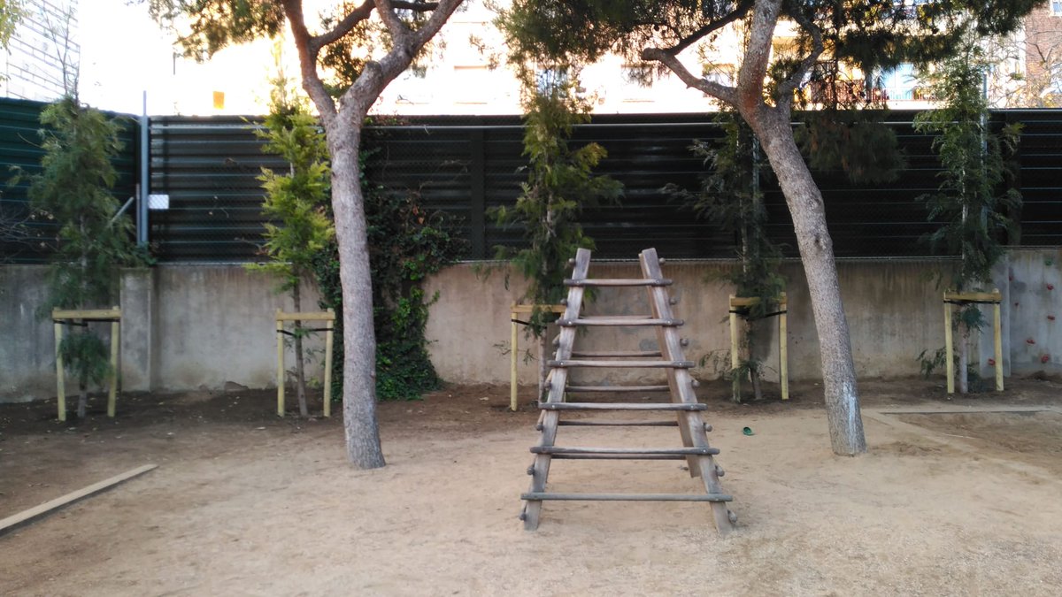 El CEIP Escola Casas continua amb el #ProjectePati, fent èmfasi en la participació de la comunitat educativa en totes les fases del procés. La #convivència, l’#aprenentatge i la creació d’espais #saludables són els eixos de treball. #EscolesSostenibles

ℹ️ barcelona.cat/barcelonasoste…