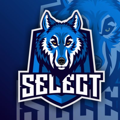 zSelect tweet media