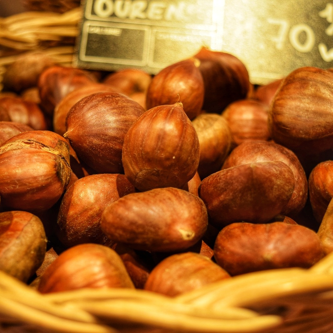 Las #castañas saben a #otoñoenmadrid

En nuestro <a href="/mdomaravillas/">Mercado de Maravillas</a> puedes encontrar estas #castañas🌰
en nuestras #fruterías y #verdulerías

Somos #mercadomaravillas

Desde 1942 el #mercadodemadrid
📍Calle de Bravo Murillo N°122