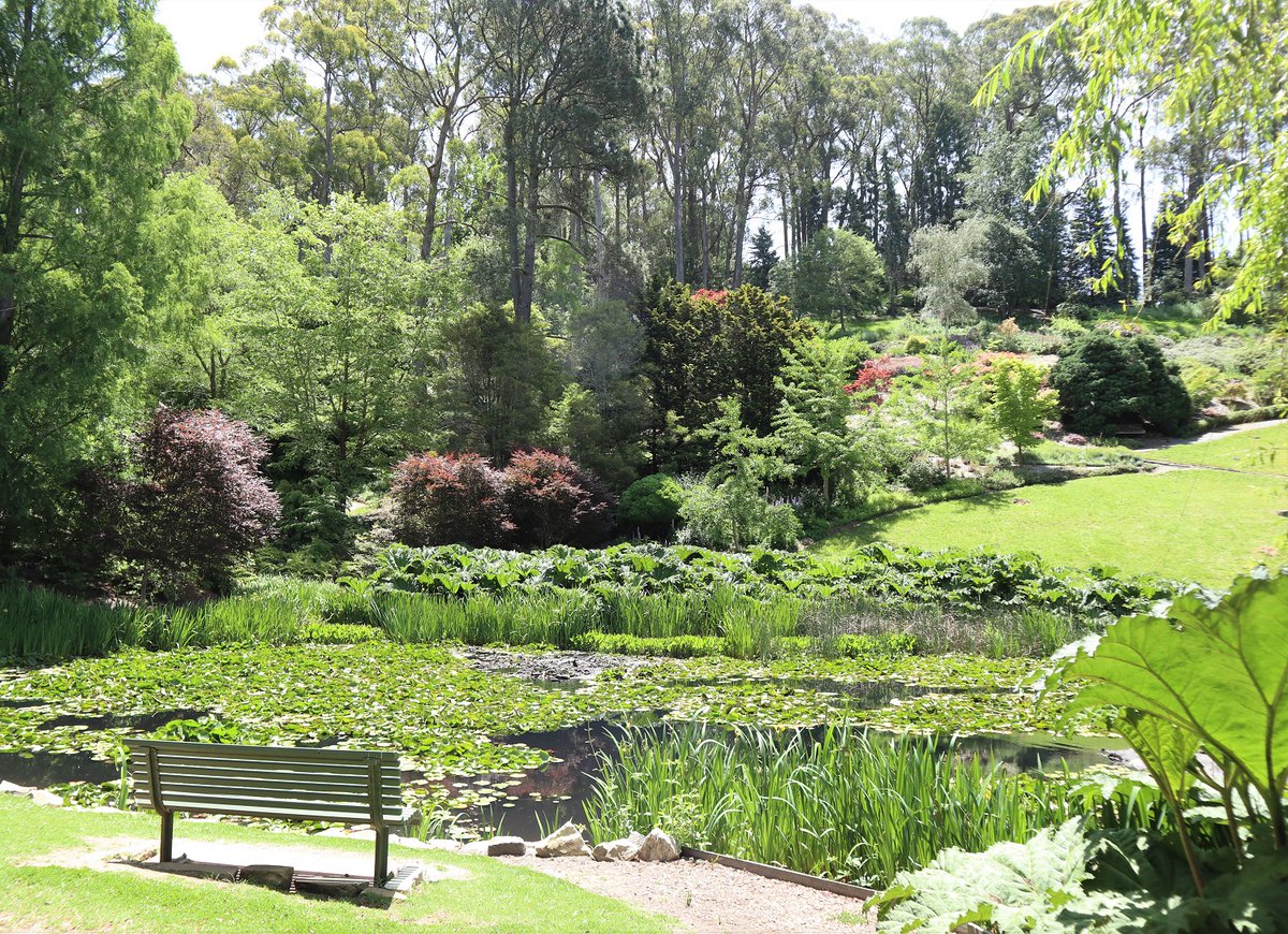 Botanic Gardens SA tweet media