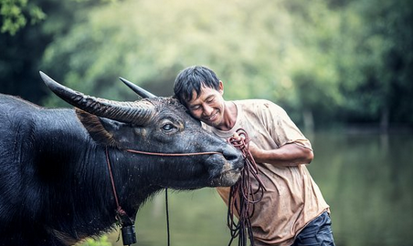 Farmers, small-scale fishers, pastoralists, foresters, mountain farmers, indigenous people, they feed us while protecting our planet.

They are the agents of change for a #ZeroHunger world.

🌾🌽👨🏿‍🌾🥦👨🏼‍🌾🥕👩🏽‍🌾🥒🍎👩🏻‍🌾🍆 👨🏼‍🌾🍒 👨🏼‍🌾🍊#FamilyFarming