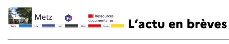 IRAdeMetz's tweet photo. 📰Le nouveau numéro du 20/11 de l'actu en brèves est en ligne sur le portail documentaire des #IRA
A lire ici ▶️https://t.co/r7fOJhtdoY
#iradocumentation @dgafp https://t.co/gMcMJTJhvT