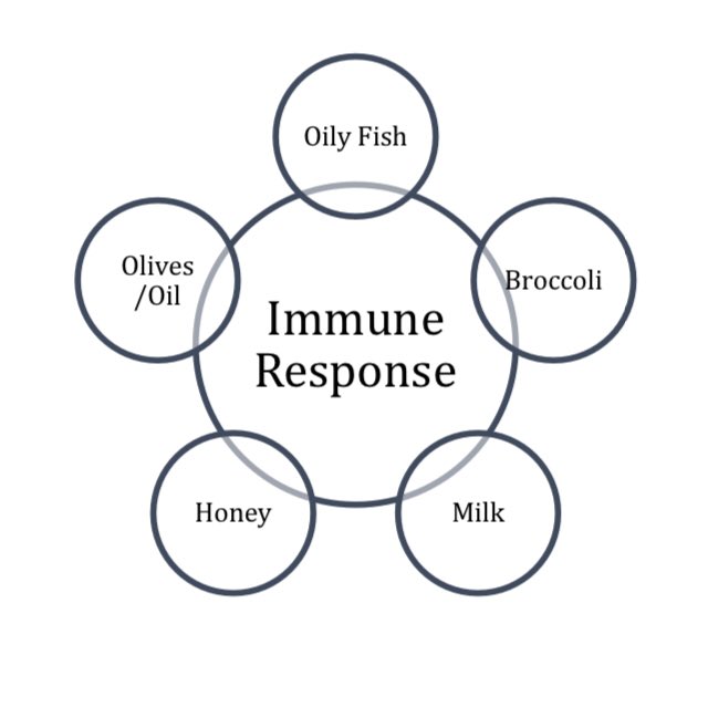 key2diet's tweet photo. Immune response

#Tcell
#thymus
#vitamins 

#virus
#bacteria
#health
#diet
#COVID19 https://t.co/VMZqssbYgX