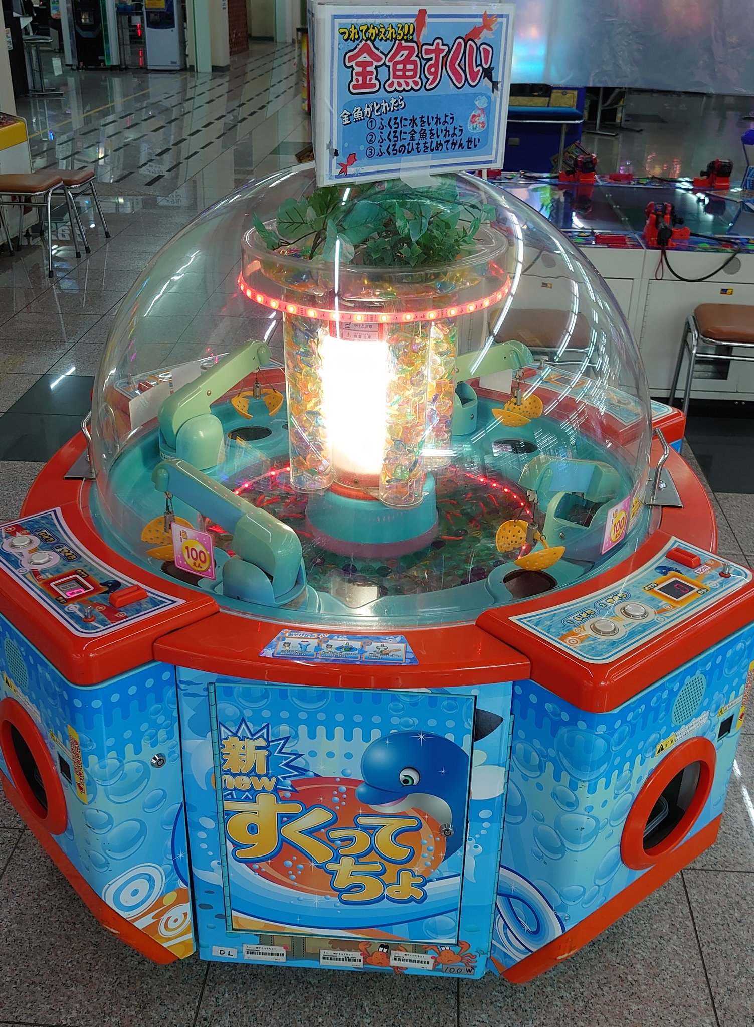 すず 新 すくってちょ で 本物の金魚すくい とな ロ すず 新 すくってちょ で 本物の金魚すくい とな ロ