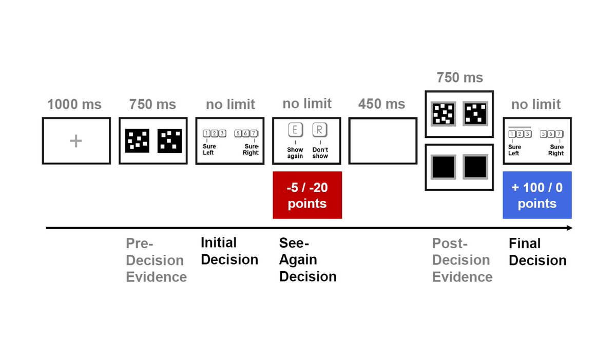 Subjects saw a perceptual stimulus before a first integrated decision and confidence rating. Crucially, they then had to choose if they wanted to see further information before making a final, incentivized decision. This extra information was helpful but came at a cost. [5/N]