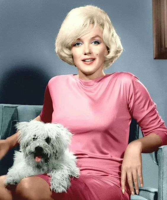 Victoria Haddock on Twitter: Italian fashion designer Emilio Pucci, was  born #OnThisDay in 1914. Marilyn Monroe was photographed in 1961 wearing  this pink Pucci long-sleeved dress of silk jersey with a rope