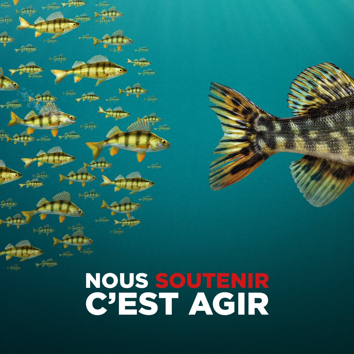 frc_CH's tweet photo. #Consommateurs Enfin protégés contre les appels publicitaires! Notre prochaine victoire FRC avec vous ? Devenez membre: https://t.co/STRNXQYY7o https://t.co/YgXVIRzqFE