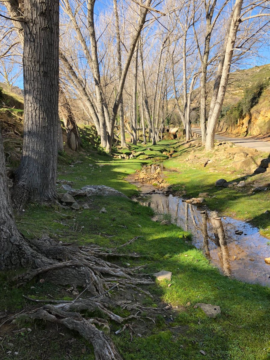 Culla_magica's tweet photo. Situado a 10 Kilómetros del núcleo urbano, el río #Molinell es una zona rica en agua. El buen uso de esta dio lugar a la aparición de seis molinos harineros que significaron una gran riqueza. Entre ellos destaca el Molí de l’Orde que estuvo funcionamiento hasta finales del s.XX. https://t.co/L2sBCuqgex