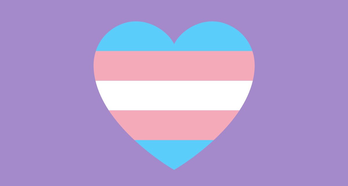 NlesdP's tweet photo. Today on the Transgender Day of Remembrance, we remember and honour the many trans lives needlessly lost to violence. We commit to helping end the stigma, discrimination, abuse, and marginalization of trans and nonbinary people.   #tdor #TDoR2020 https://t.co/ewxhYCzkWS