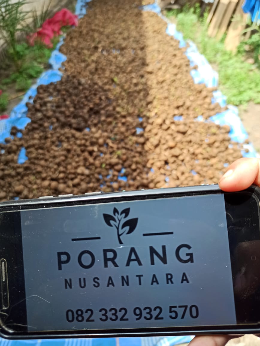 SoSofin891's tweet photo. @AdrianiLaksmi Di daerah sy pupuk juga langka, berburu pupuk sampe ke tetangga desa harga 2x lipat. sekarang lagi Coba peruntungan nanam porang, pakai pupuk organik bikin sendiri. Mungkin ada yg cari bibit porang, yuk harga bersaing https://t.co/kEmaAgErHK
