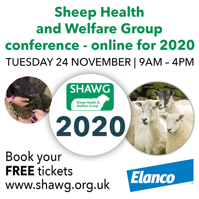 AHDB_BeefLamb's tweet photo. We are delighted to announce that @Elanco are title sponsors for #SHAWG2020! As a company committed to improving the health &amp; welfare of livestock through their innovative products and expertise, find out how they can help your farm business https://t.co/pdTOwUQnt8 https://t.co/8cQUjgT99B