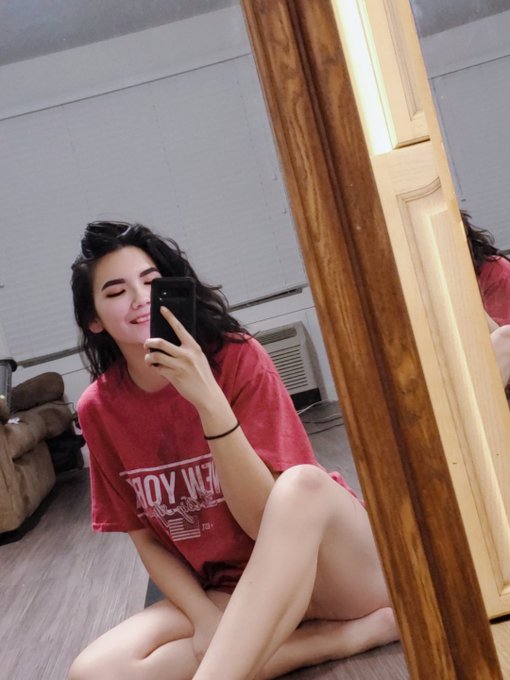 HALLO  I have so much energy at 3 am Someone shoot me with a tranquilizer gun because I need to wake