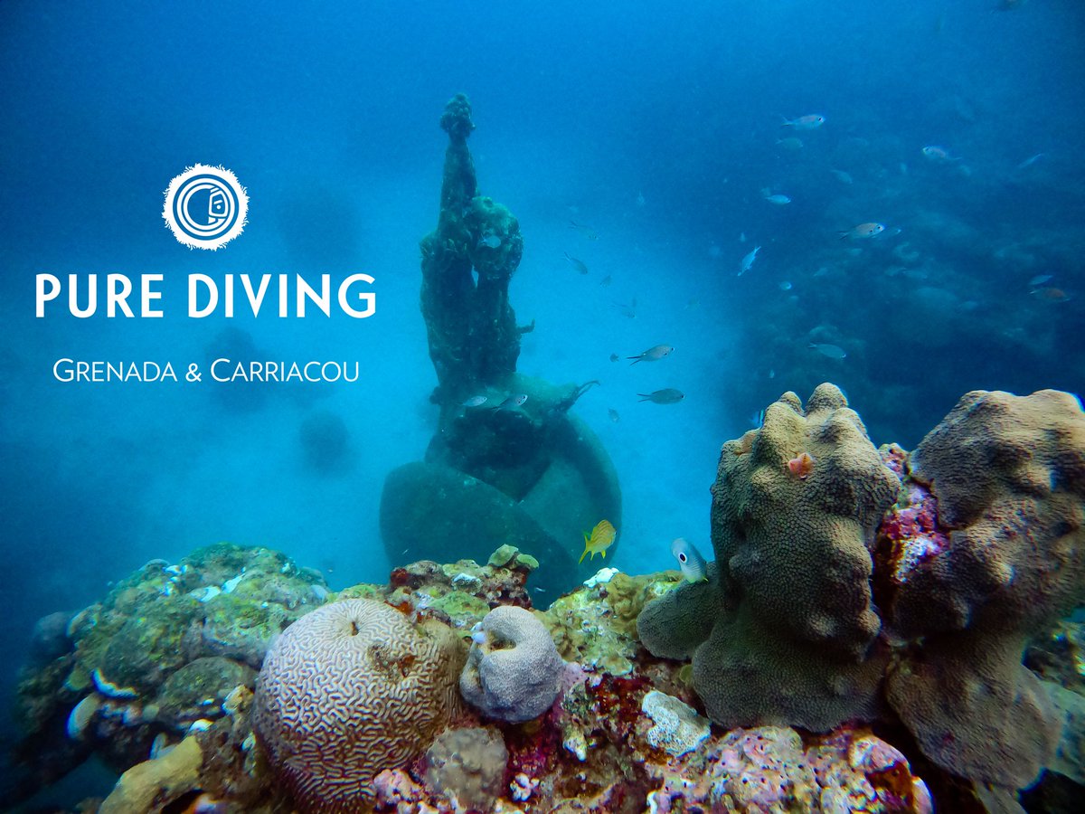 The Nutmeg Princess can be seen by #snorkelling or #diving. Check out our video about the latest stunning addition to #Grenada's #Underwater #Sculpture Park: facebook.com/grenadapurediv… #PureDiveFest #PureDiving #PureGrenada #ScubaDiving